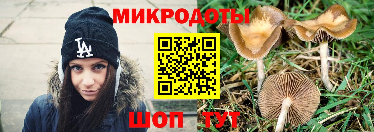 Кропоткин  Галлюциногенные грибы мухоморы  Вход с VPN 
